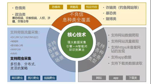 創(chuàng)旗申東吉 邊緣計(jì)算與信息安全監(jiān)管在互聯(lián)網(wǎng)信息服務(wù)中的挑戰(zhàn)與機(jī)遇